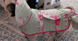 Spring Chic Designer Quilted Dog Coat